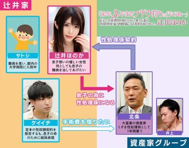 【レビュー】辻井ほのか：『「来年、3人でまたブドウ狩りに行こうね…」息子の手術費用を稼ぐために、愛する妻が 1年間資産家の肉便器になる契約を結びました。 辻井ほのか』
